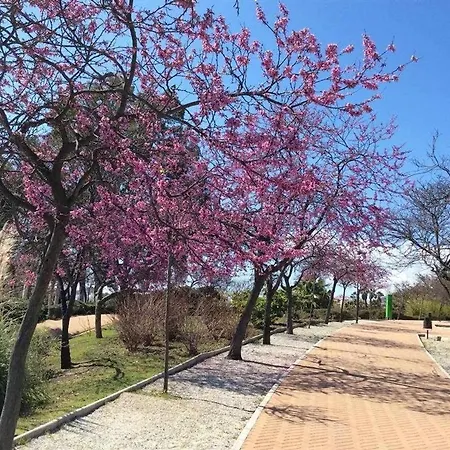 Apartamento 797 Rentals- Moderno, Céntrico Y Espacioso Estudio Benalmádena